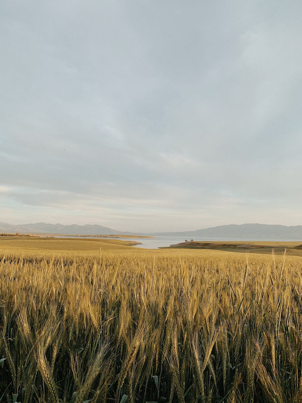 ¿Vuelve la sequía al&nbsp;país?