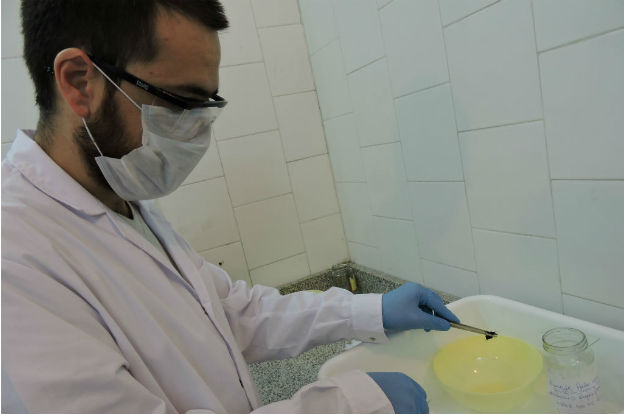 Día Mundial de&nbsp;Chagas