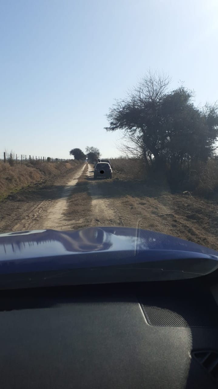 Siete detenidos, secuestro de canes y vehículos en zona rural de&nbsp;Luque.