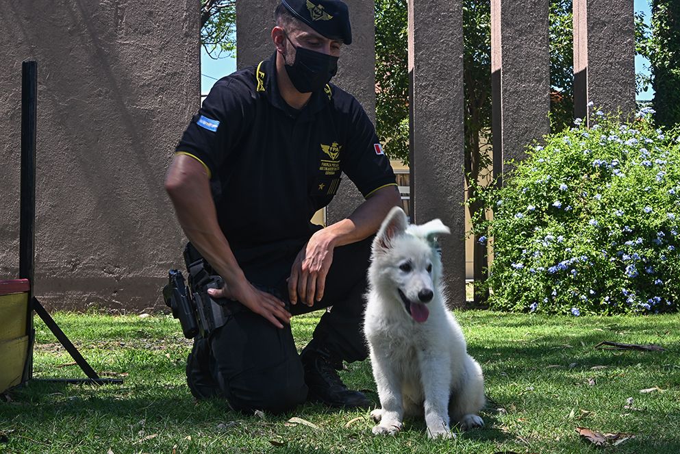 La FPA recibió un nuevo integrante para la División&nbsp;K-9
